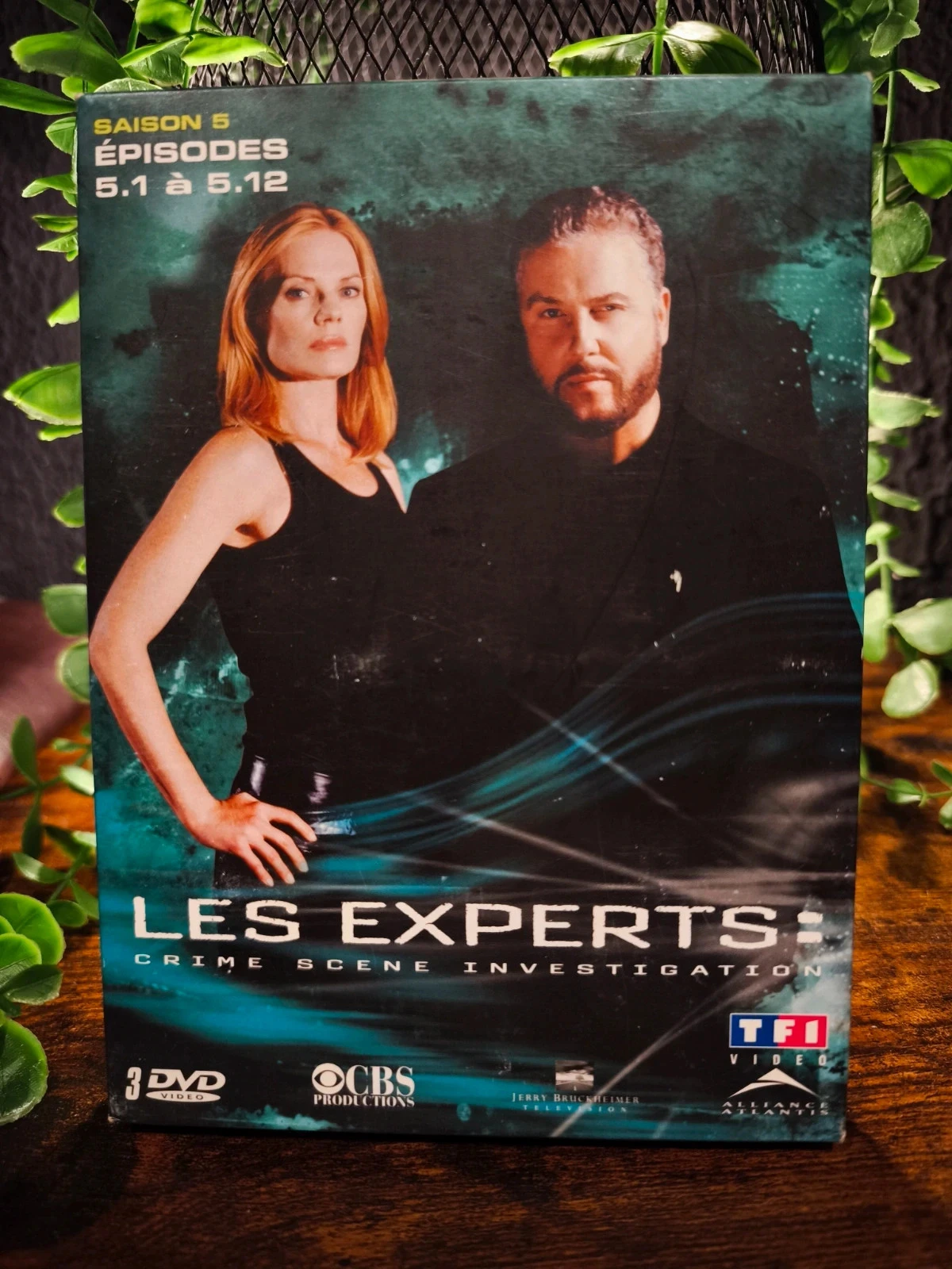 Les experts saison 5